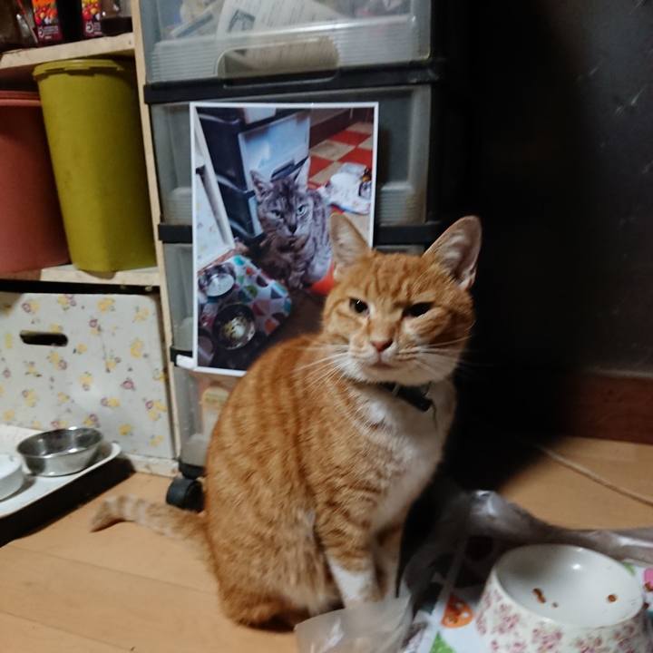 E8eb2890 7e24 49cd 99a1 f141b996ae4e 1601067009378