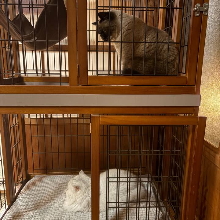 E8eb3dc5 9354 46ca 831b 82f4df26fc13 1761219676122