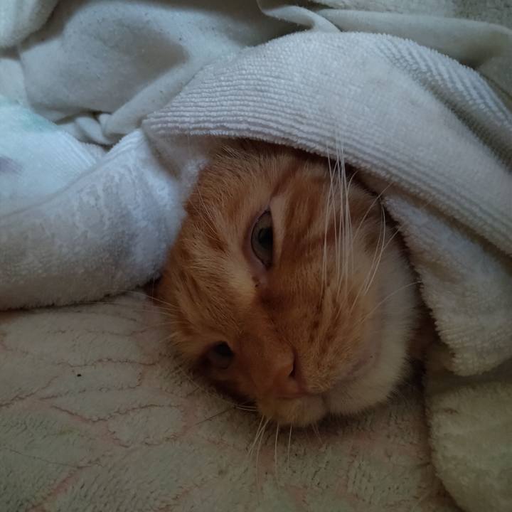 E8eb6e06 b972 4040 9935 ecf738fa3aac 1705307742724