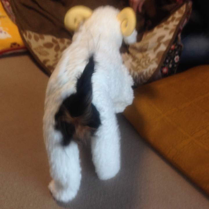 E8eb8edf a6b7 4f52 9156 4bf249c6218d 1541677908485