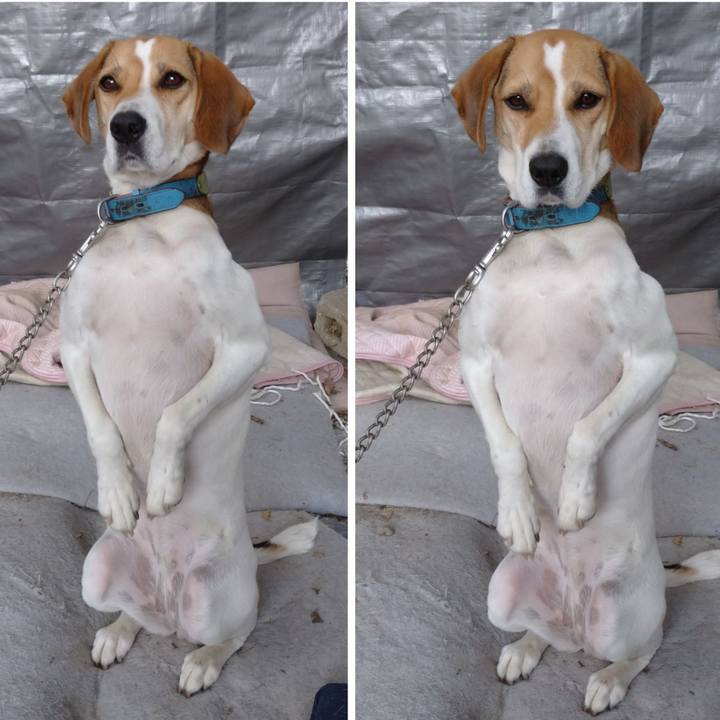 E8ebba43 9583 4efc 948d be45769cb561 1605257706003