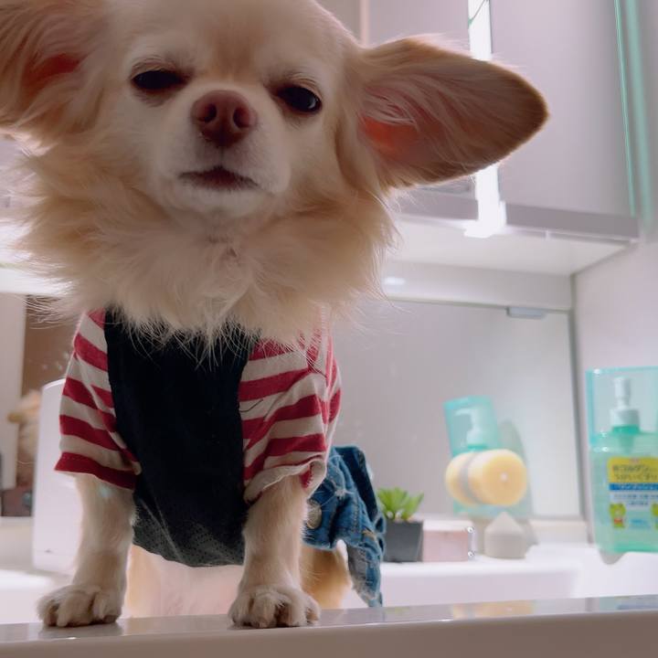 E8ebec35 03fd 4b0d 9ba9 cd17b16c0970 1703757155313