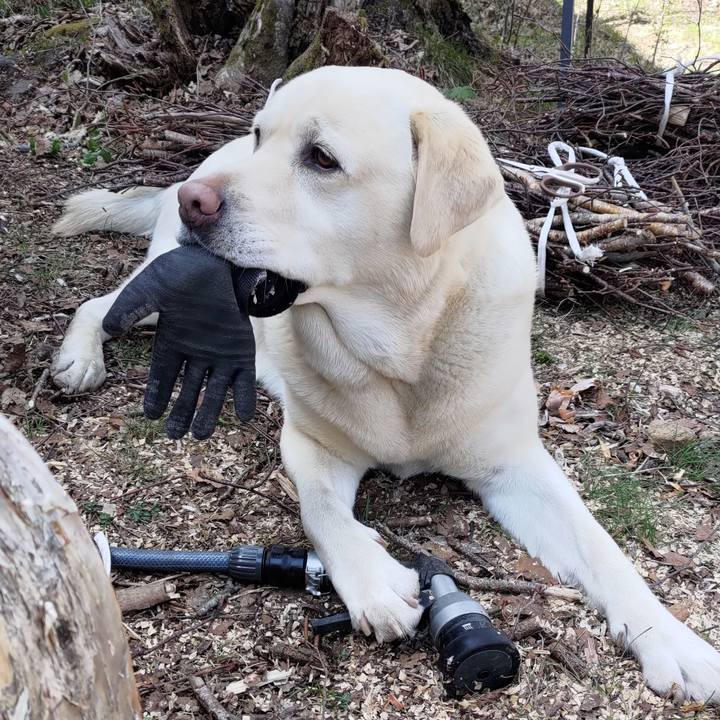 E8ec493c 4b29 495c 91fe 33b930f5a622 1683189683939