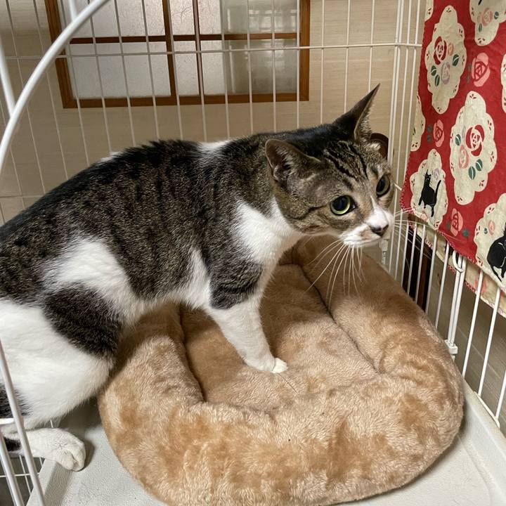 E8ec598d fd75 4c19 929b bee64562f1e4 1636331403547