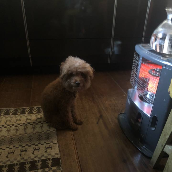 E8ec97e0 e590 4cf7 bc3f 67bd1dae9997 1581165281945