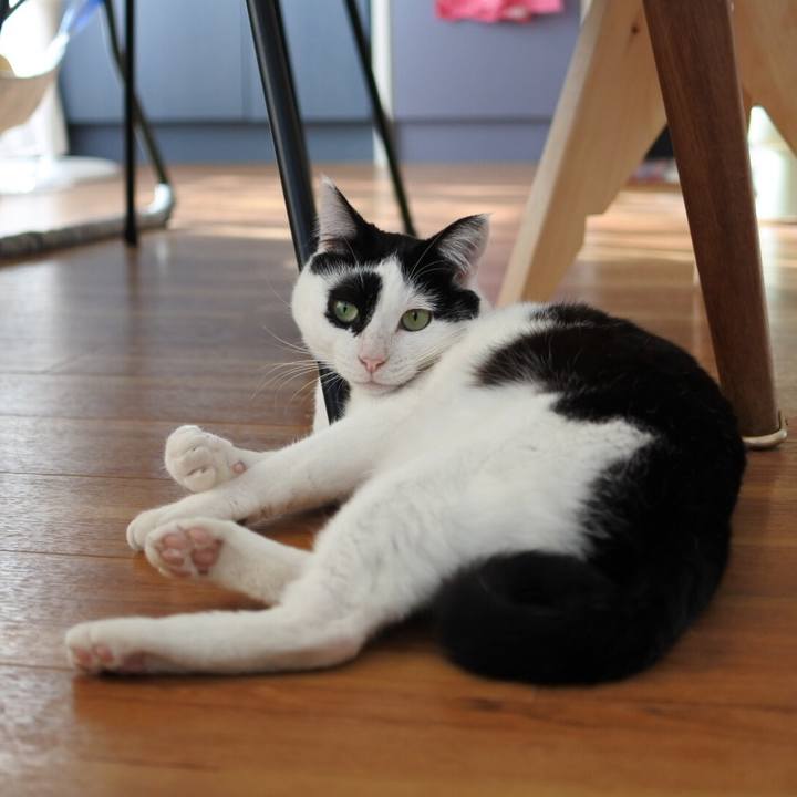 E8ecaa4c 28d2 419f 85e9 fb36a7502717 1523345613466