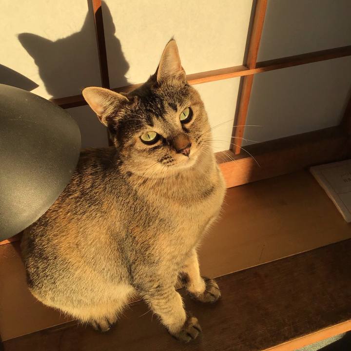 E8ecabfd 2454 4f32 93b5 ee4e5ef7add5 1580892568235