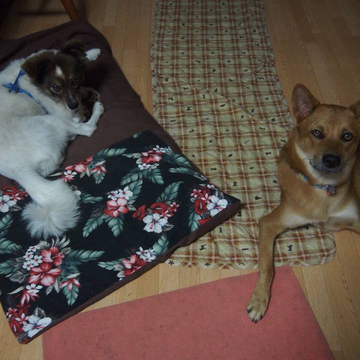 E8ecad60 307f 4197 9349 a10c153fd6e8 1508740208497