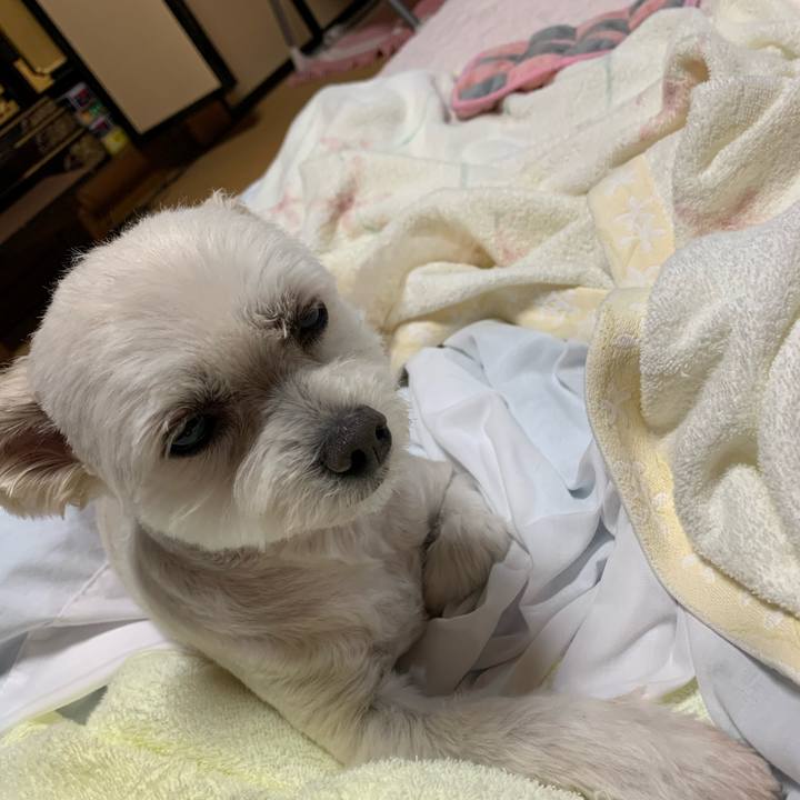 E8eccade 1005 4cef a6a2 8cf6e2bc053b 1621335486969