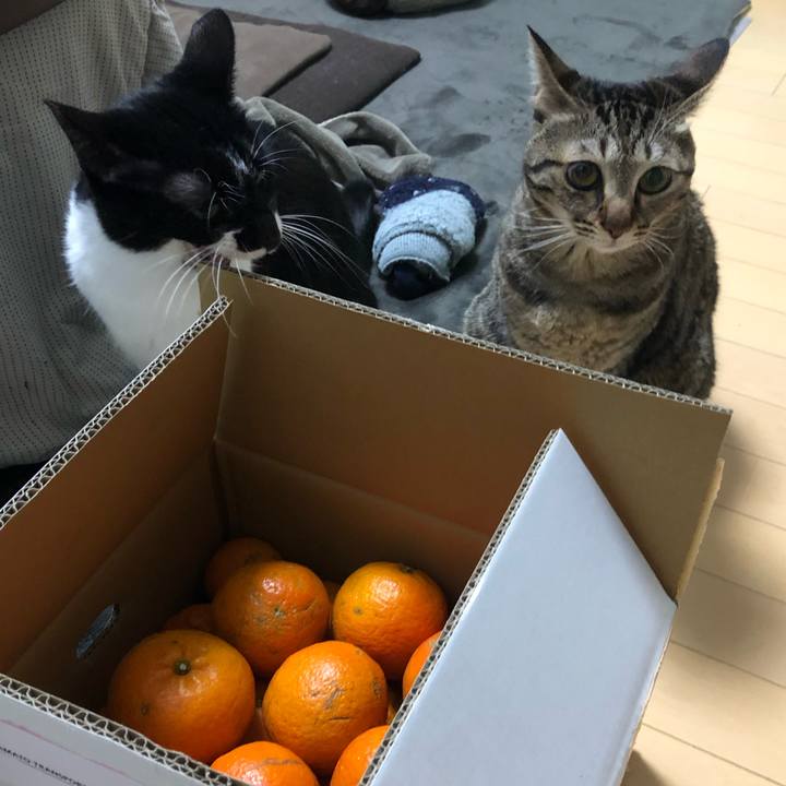 E8ed15f3 226c 4508 bf4b 751a275fe95c 1551198054794