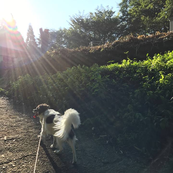 E8ed299e 1b8f 42fb 8cef beff906a0506 1535437531482