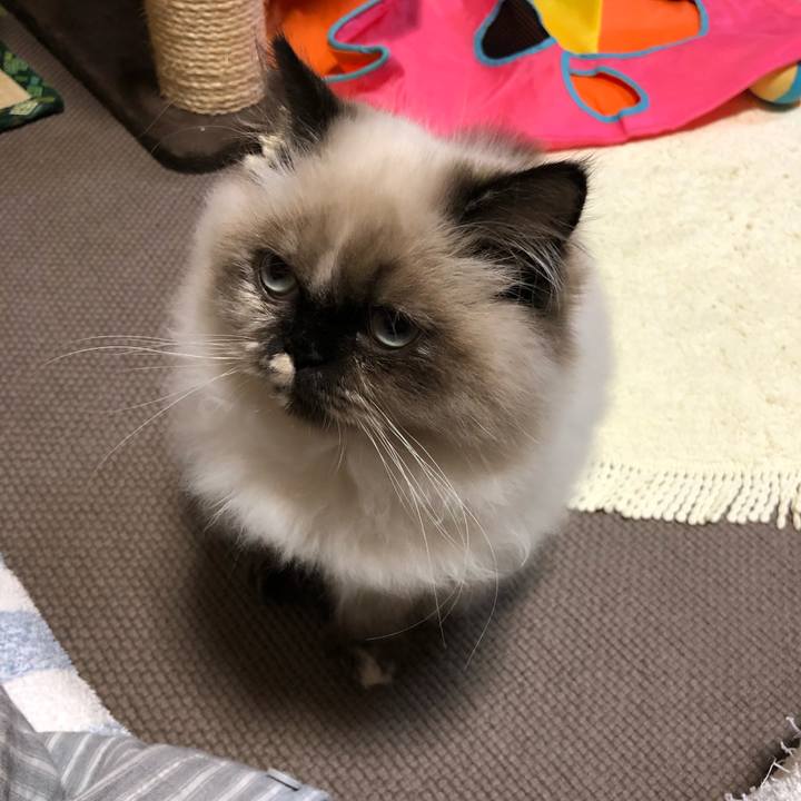 E8ed39b8 825c 41a0 b43d 20e068a8b043 1636466163165