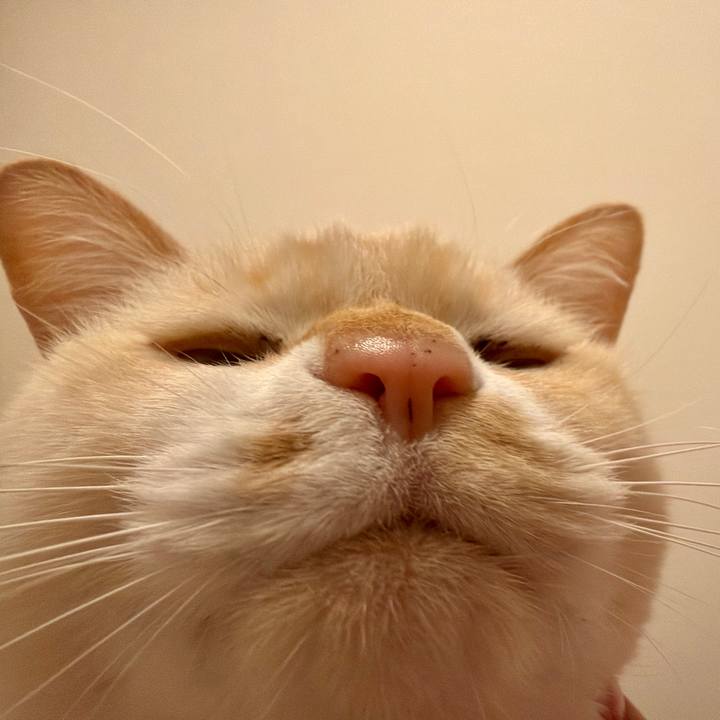 E8ed611a e61d 4266 b977 afa37f08a17b 1768683295871