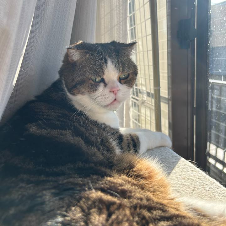 E8ed6851 20b4 4517 a556 25277472c3cb 1768695479745