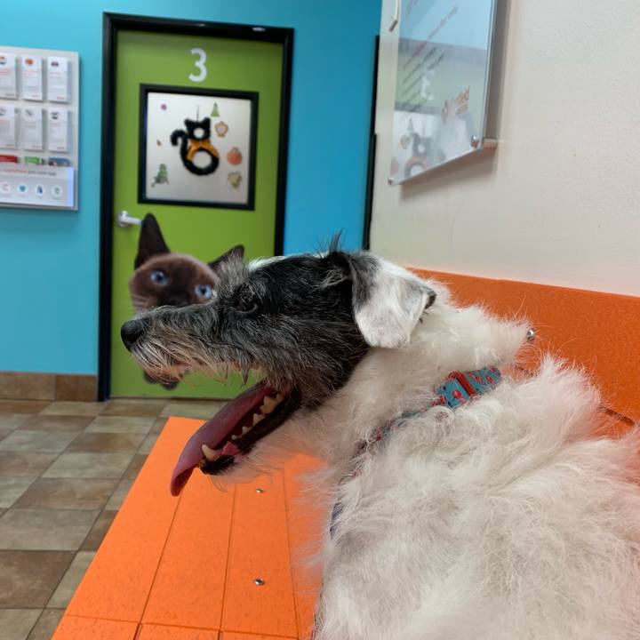 E8edab0e 44e5 4191 ab45 9afaee8d4965 1634817427277