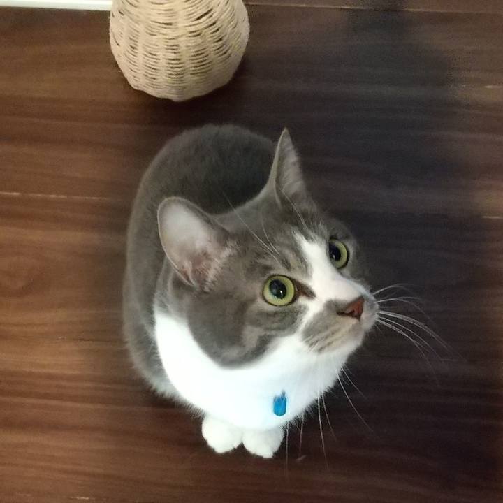 E8edbaff e109 4d0a a3ee 45e86b896938 1646805749535