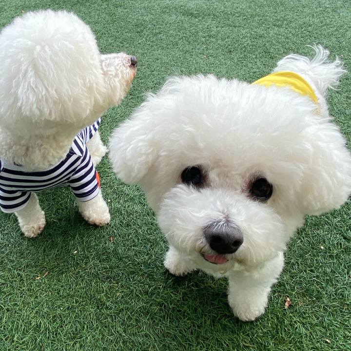 E8edd0ce 3e3f 4640 b908 f796ab398f4f 1700109256670