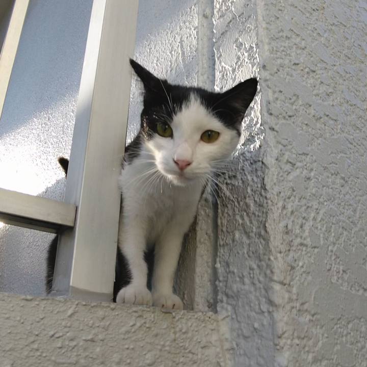 E8edde15 a2cc 4b22 9009 8f1d94cc03ae 1621759487943