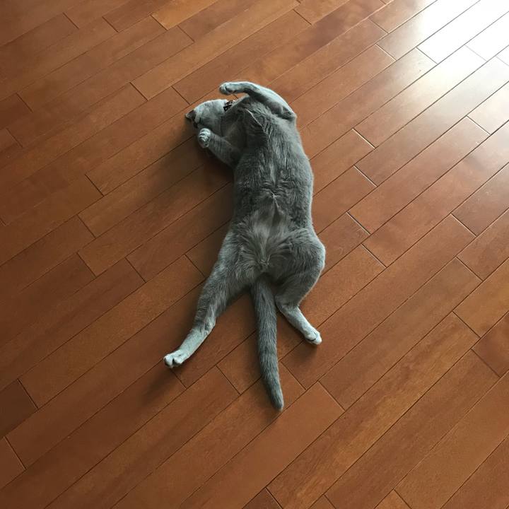 E8ede39b ea21 4661 b46a d6d474eabe81 1533028807862