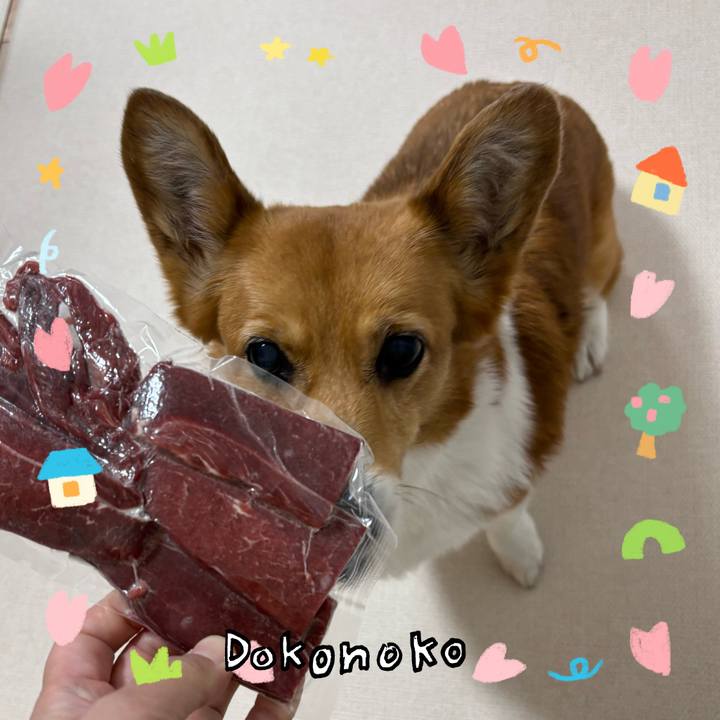 E8edfe08 6481 43c4 be08 d7035946aefd 1741095665299