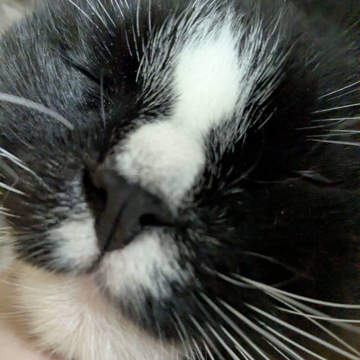 E8ee066e 7024 44f1 ae1e 25c953338839 1772278927389