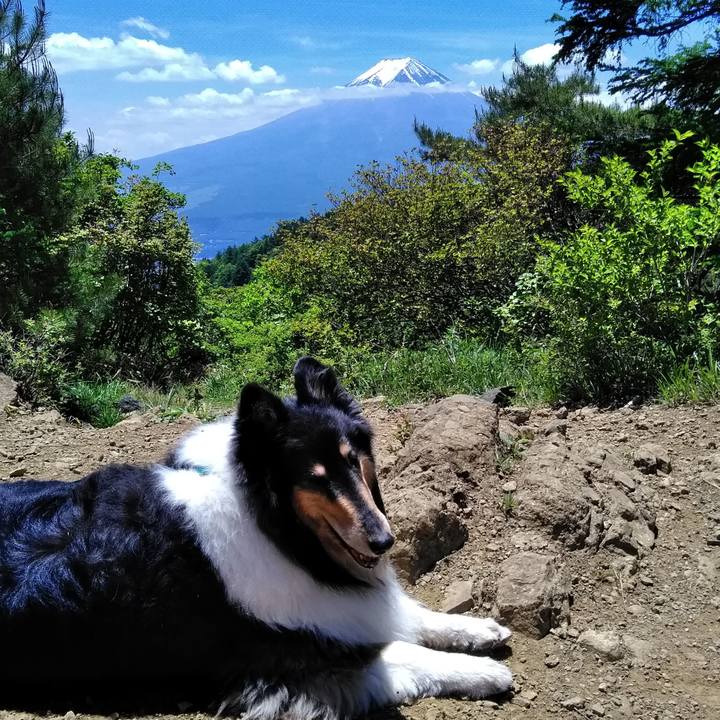 E8ee3ef1 1684 4cbe 9c4a a580ab046fde 1528030420574