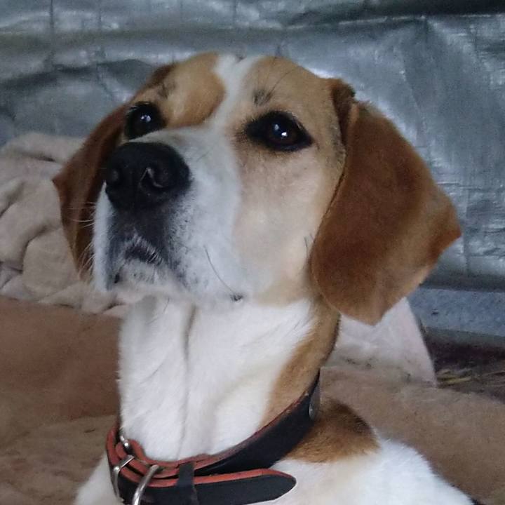 E8ee895d 77ca 4608 9c9e 02a9dbd1c48b 1655731265333