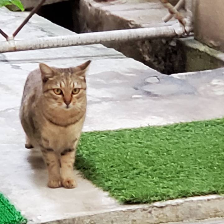 E8ee8d75 6255 4f14 a1f0 53297eb3467b 1705548379289