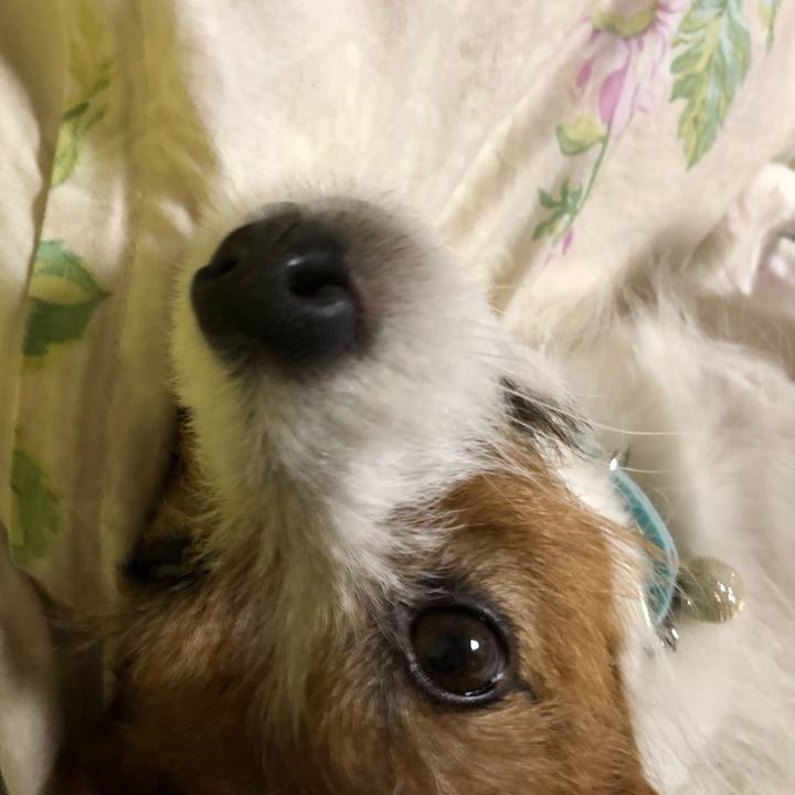 E8ee97f9 e3c1 4084 9ff1 61873f0620c6 1555847810187