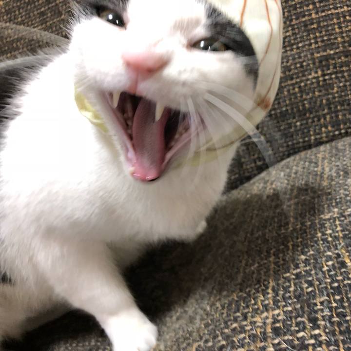 E8eec2f7 731e 40c9 8001 31caab32abff 1519257938499