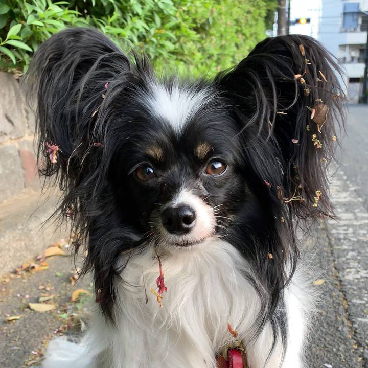 E8eec754 6c85 4dbb a3d4 c4074b742b5f 1555752962570