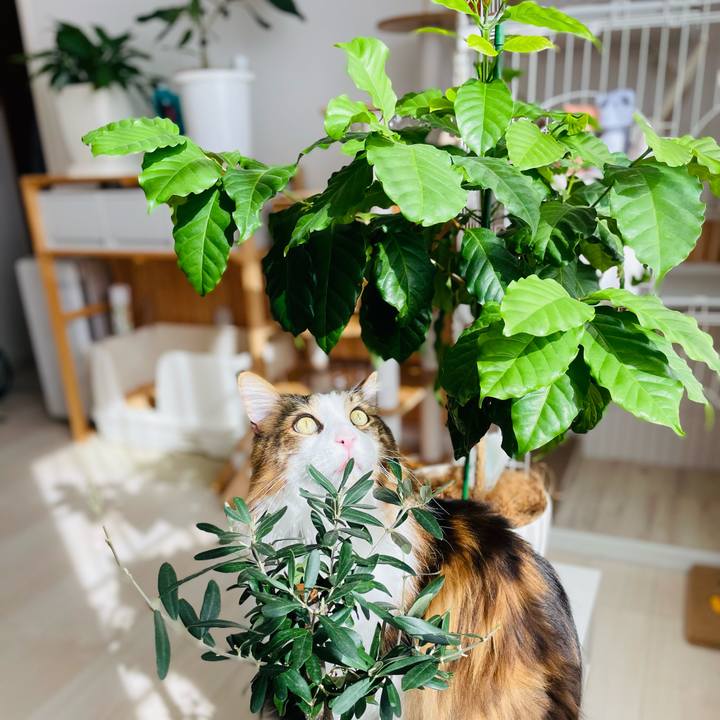 E8ef3580 2d8c 402e b874 494d9045c262 1739680320394