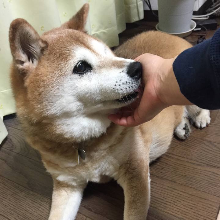 E8ef39ec aed0 454c 947d 803a8f22b778 1556109430846