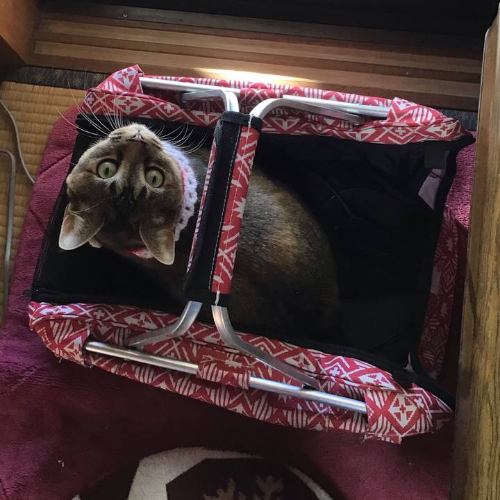 E8ef751e 811e 4252 a49c 4e7d20fcdaa4 1610255589001