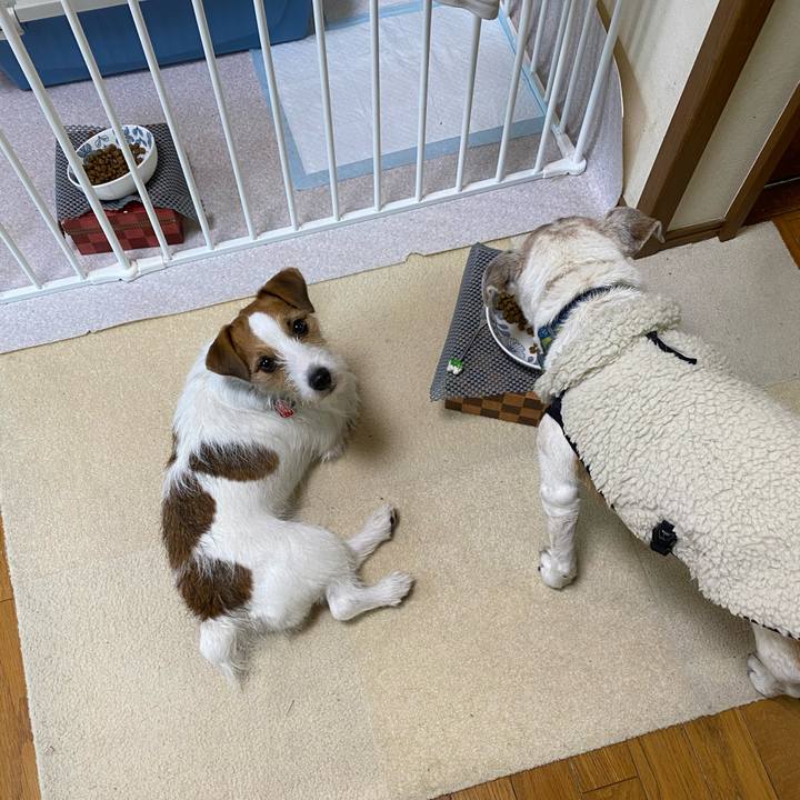 E8ef84ce 56c5 4b91 ba56 d6a5eaa574a1 1707040132104