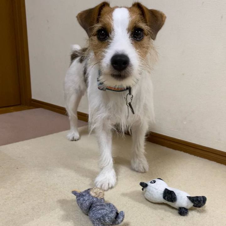 E8efab19 cc9c 4082 9d0c 7fc4f7542c9f 1667473544417