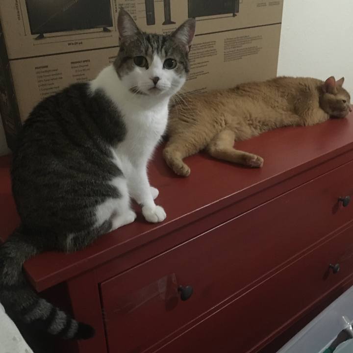 E8f02340 62b6 4451 89a5 01a33ef0ecb5 1633916024142