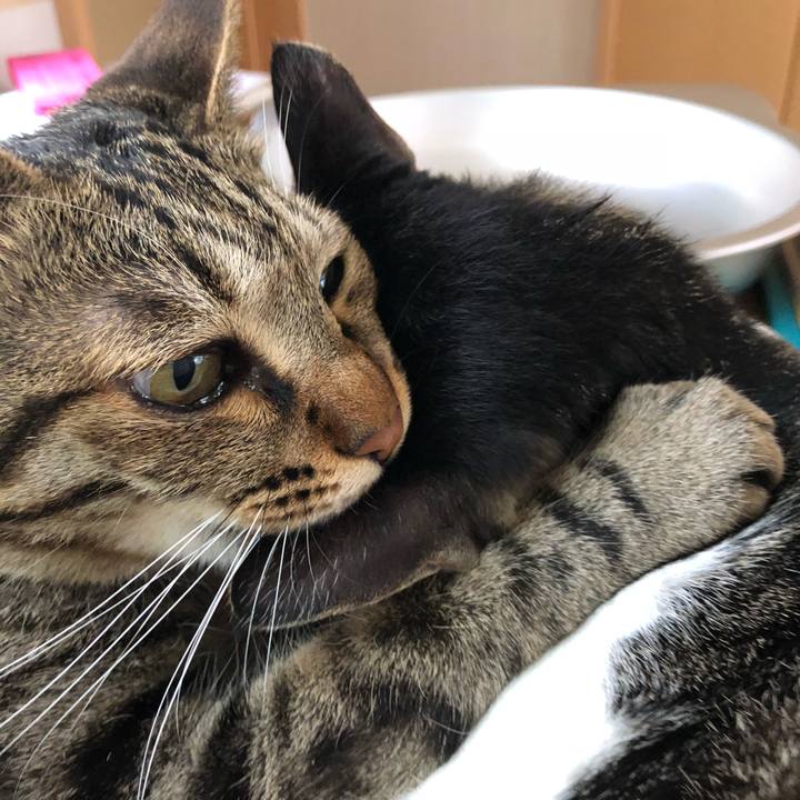 E8f05dd3 e522 4349 83a5 57e7108b4975 1529729168216