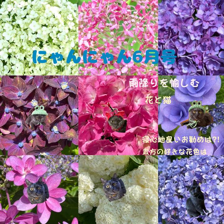 E8f096a6 c6d5 4462 bc24 2b5257d78b83 1717242164845