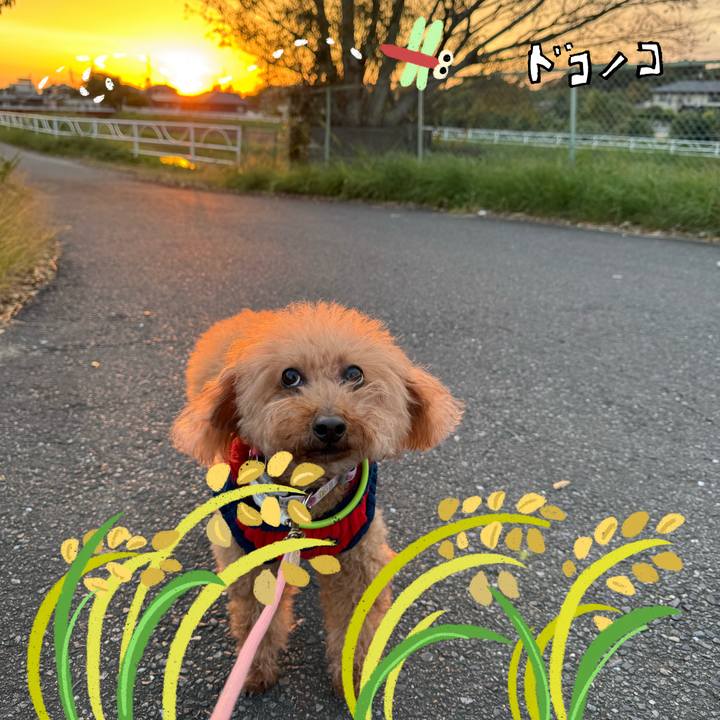 E8f09834 8055 4cc6 aeca dc9b7112c224 1762591102362