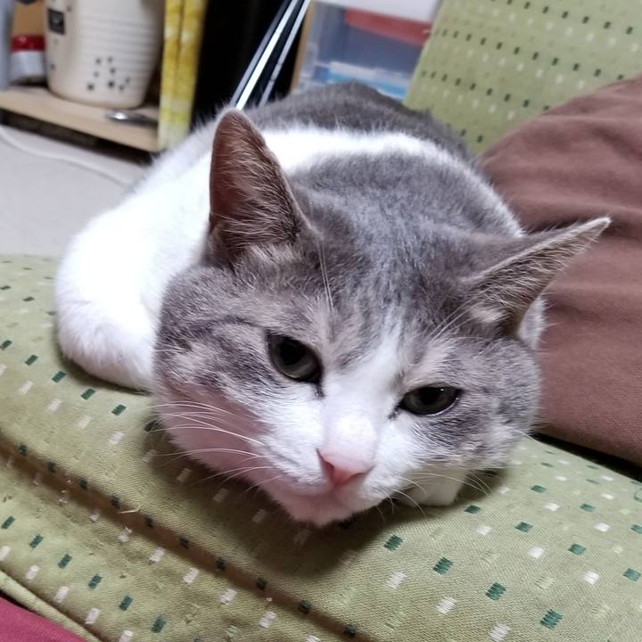 E8f1253a e4c9 4faf af92 9b2008be0efd 1539965655530