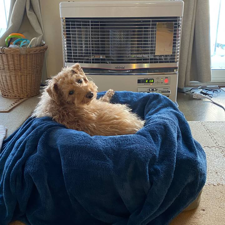 E8f154b9 87c4 4a5c aeda 89e60bbfc3f6 1673750015018