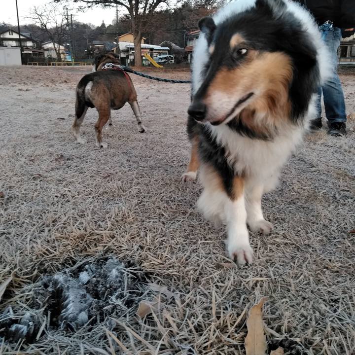 E8f174e6 ca99 45ff bc23 ab4bd5aec7e6 1545395343243