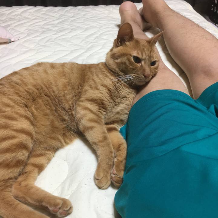 E8f175fe dac7 4ae3 98a6 055225f18707 1528893944191