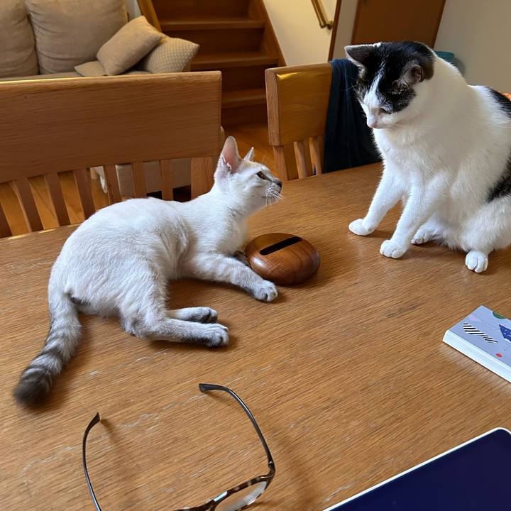 E8f1b602 25f2 4a85 bcb9 8a2372dd1193 1725445212736