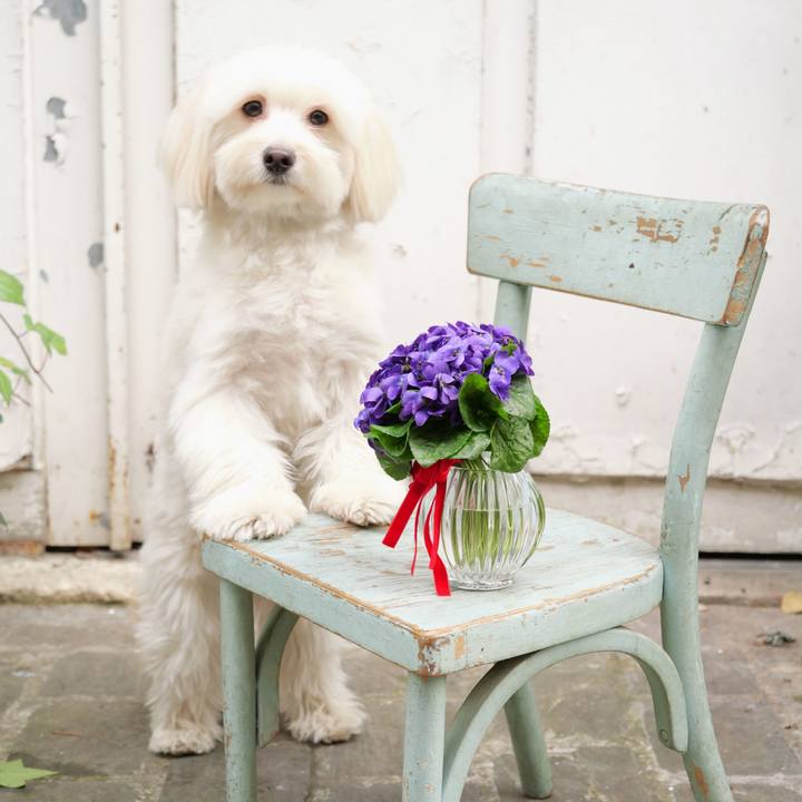 E8f1b99b 83ba 4f33 b8f0 42ec73c0ca2b 1769287090726