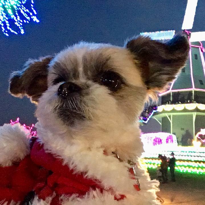 E8f1c651 db02 4861 88bf 77c41213a9b1 1514129179660