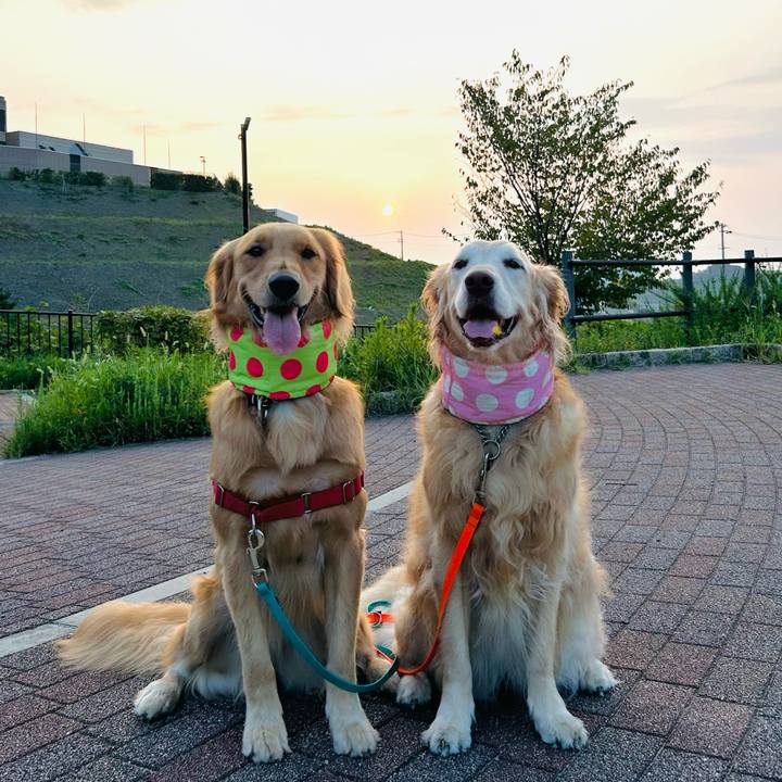 E8f1d2eb 86f8 4b56 bd7b fe5aa0ae6f49 1756611986142