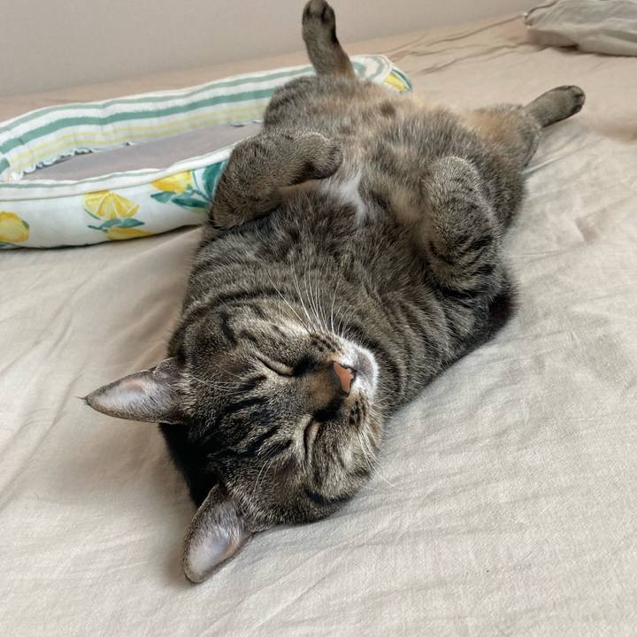 E8f1e7dd 85bb 4dd7 828e 7cc561d0d42c 1687491043973