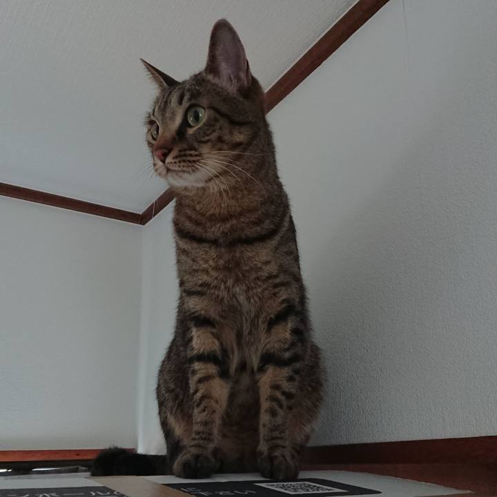 E8f20099 2427 405d 9287 86469131d3de 1514600912220